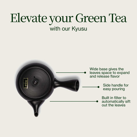 Tokoname Kyusu Fukamushi tekande