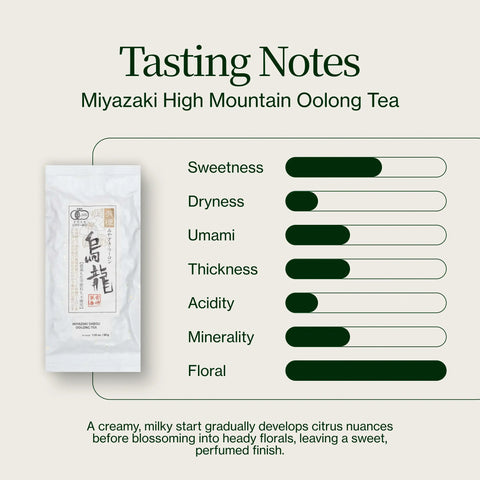 Miyazaki High Mountain Oolong te