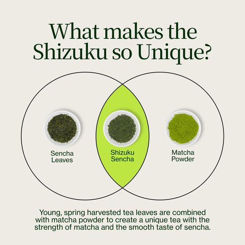Sencha Shizuku med Matcha-pulver