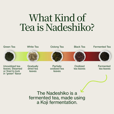 Nadeshiko Rose japansk fermenteret te