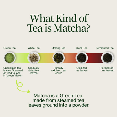 Chanoka Yabukita Matcha