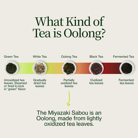 Miyazaki High Mountain Oolong te
