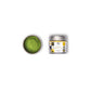 Monthly Matcha Club with Free Matcha Whisk and Chashaku